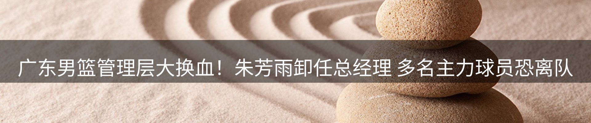 新闻动态